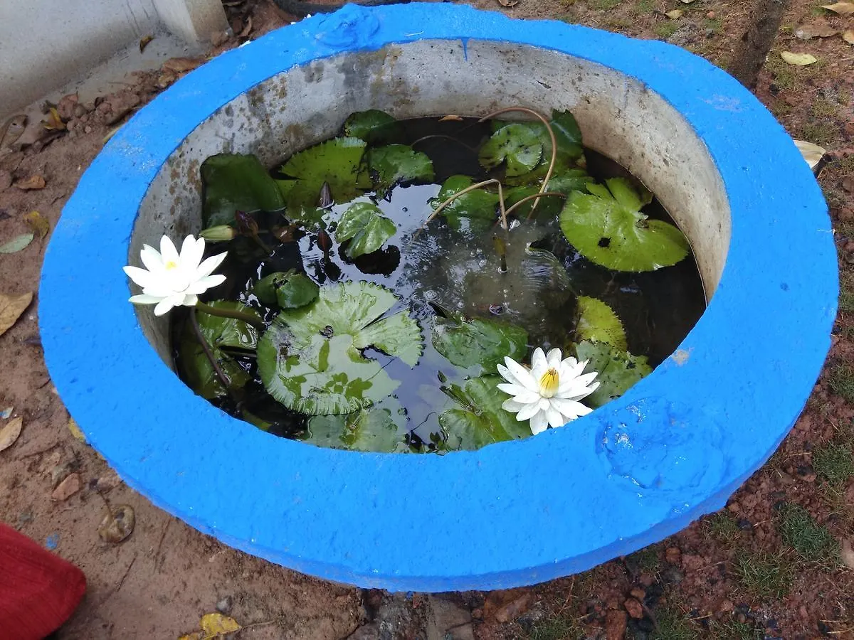 Arivaram Homestay Kaniyambetta
